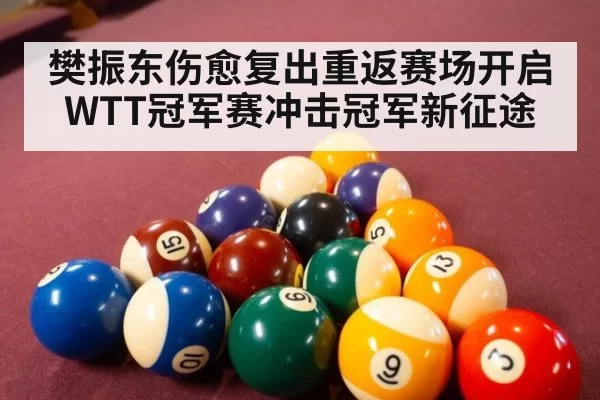 樊振东伤愈复出重返赛场开启WTT冠军赛冲击冠军新征途